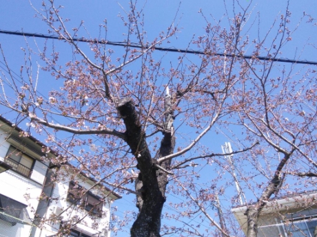 画像34